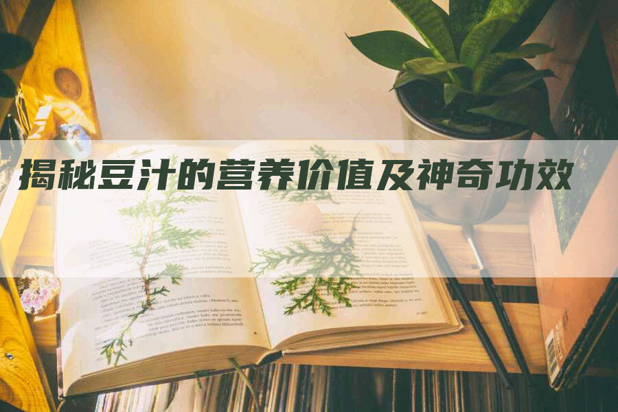 揭秘豆汁的营养价值及神奇功效