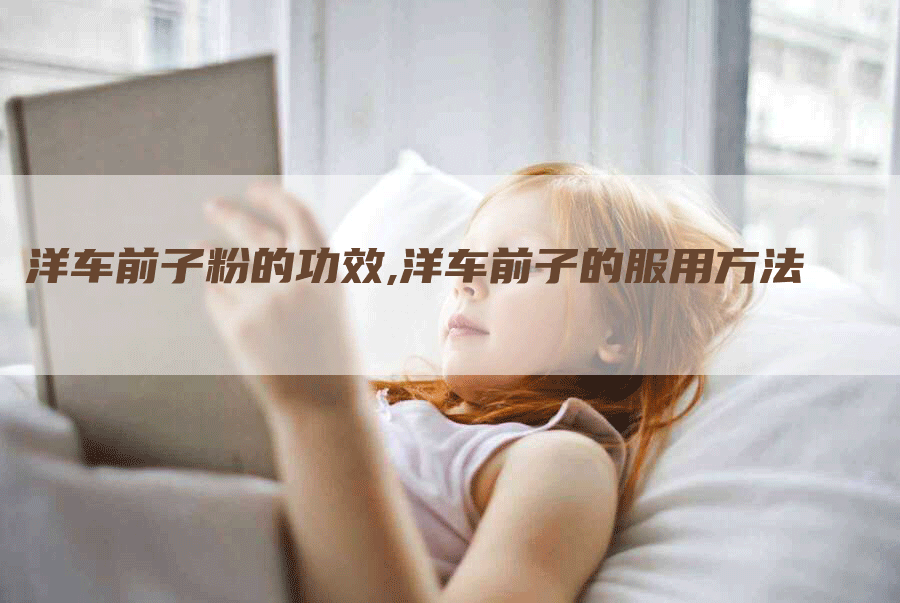 洋车前子粉的功效,洋车前子的服用方法